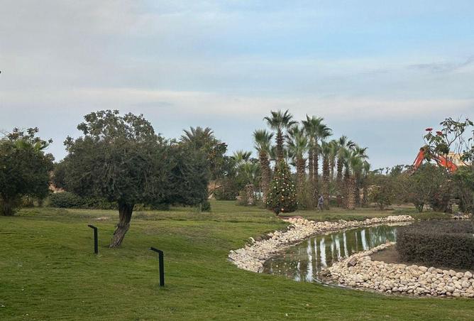 77061644 - صورة العقار 3