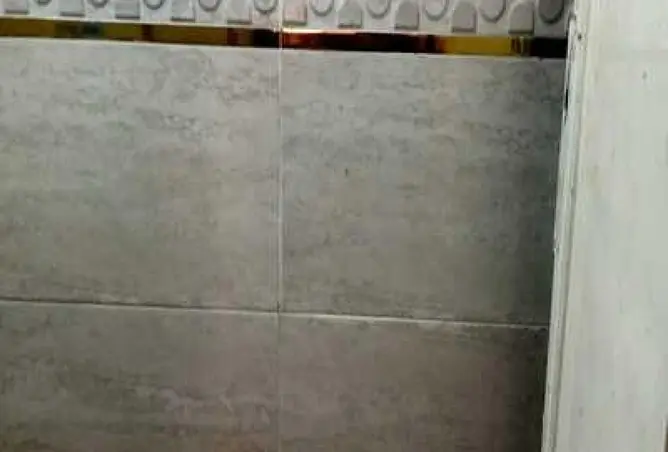 69559361 - صورة العقار 2