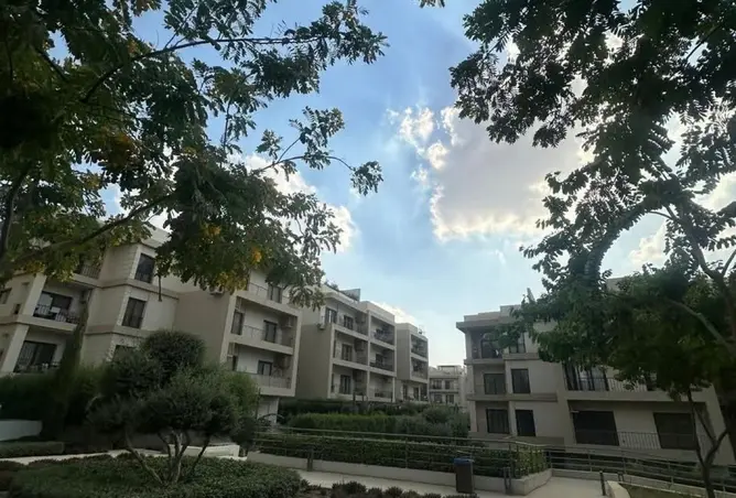 119585266 - صورة العقار 3