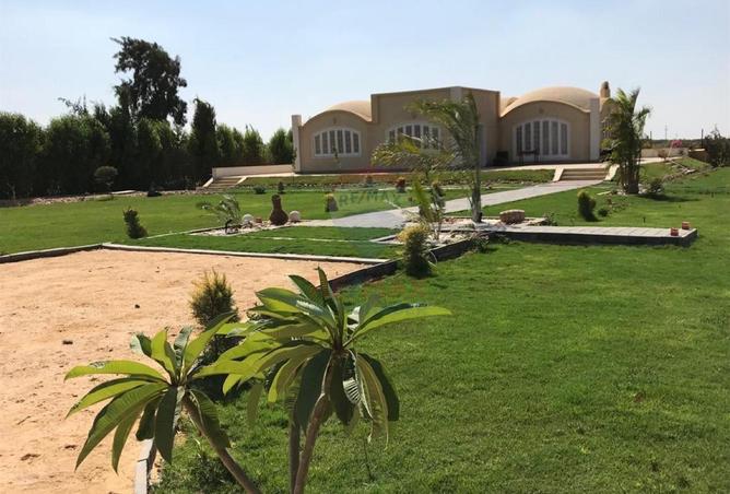 104886447 - صورة العقار 3