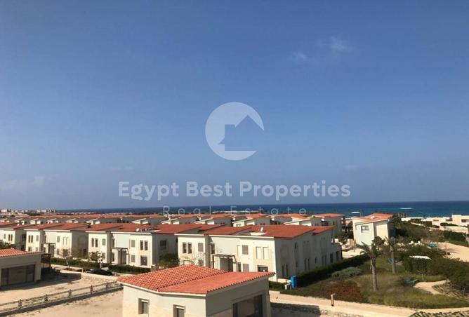 101788417 - Property Image 2