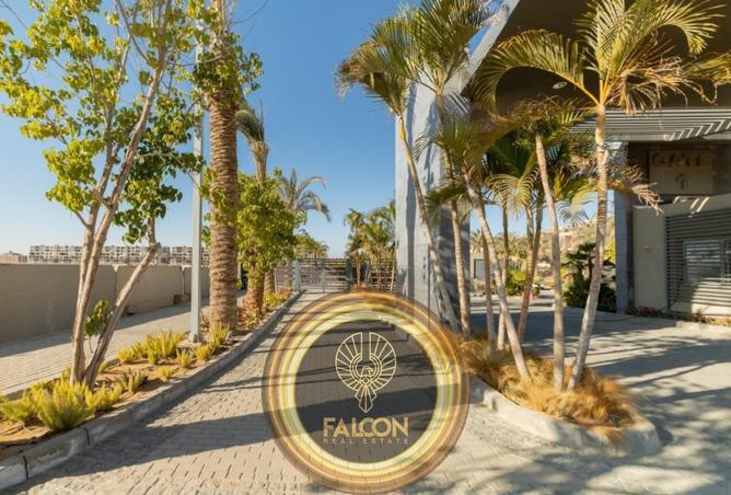 8644126 - صورة العقار 3