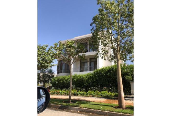 55254792 - Property Image 2