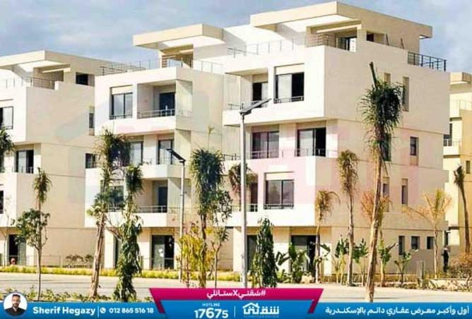 8613484 - Property Image 2