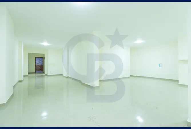 100093073 - صورة العقار 2
