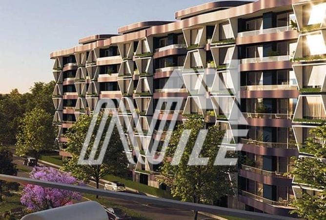 8441641 - Property Image 3