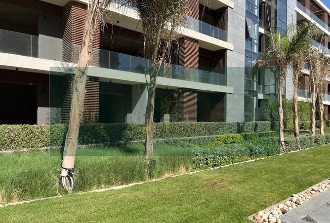 62891962 - Property Image 3