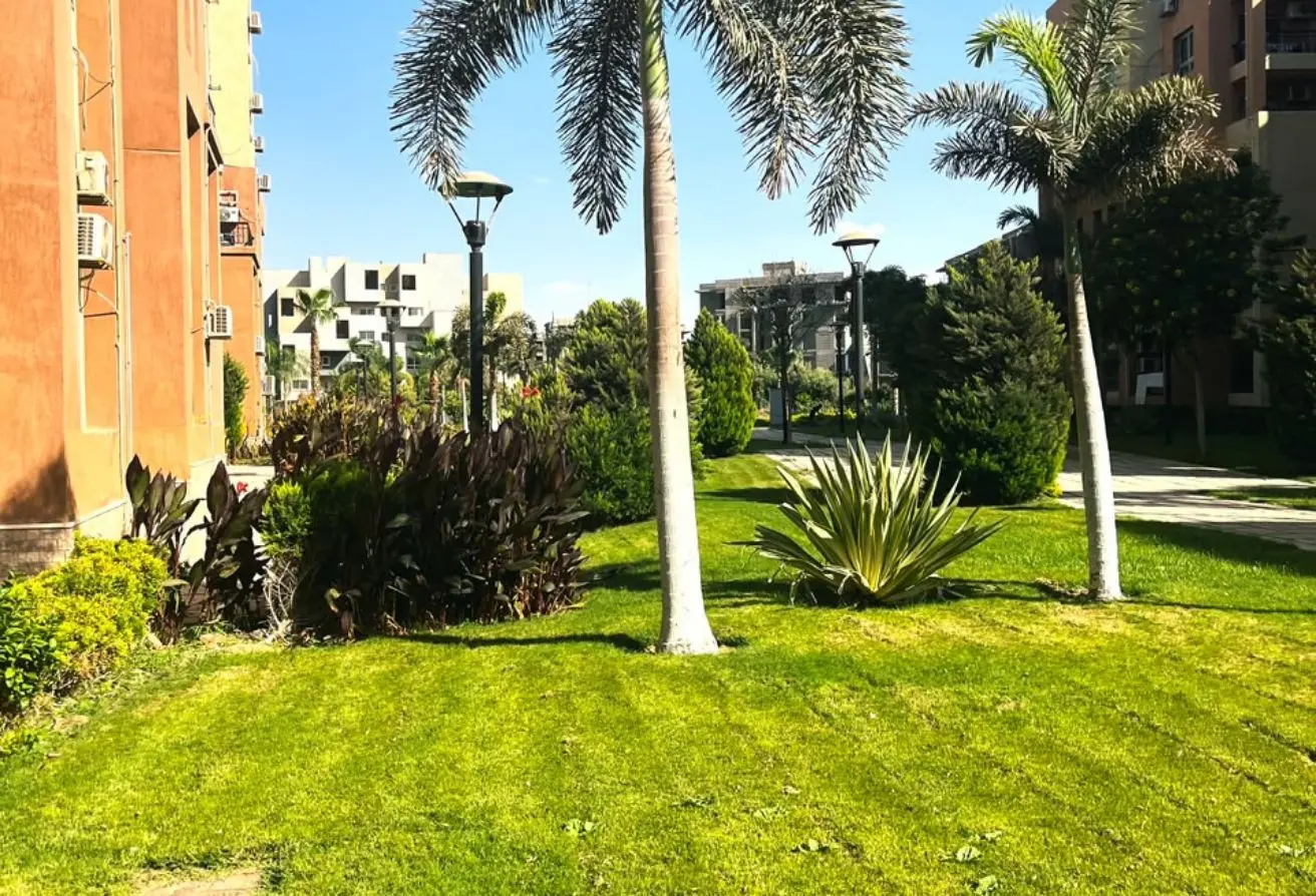 114357356 - الصورة الرئيسية للعقار