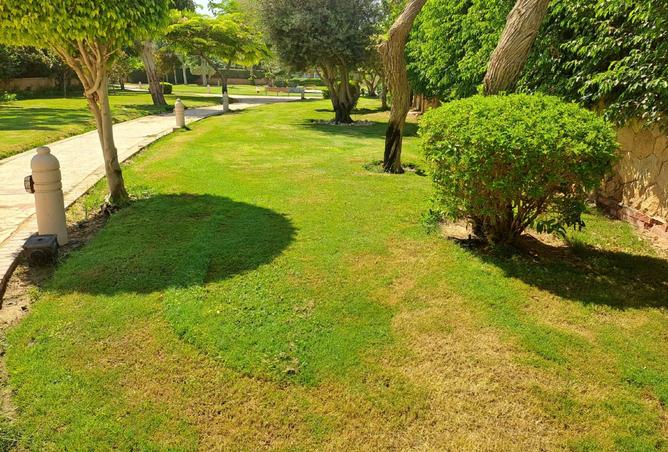 108513783 - صورة العقار 2