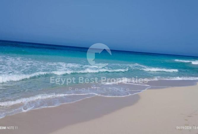 97440363 - صورة العقار 3