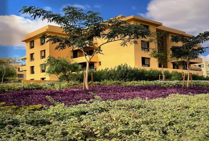 8699350 - صورة العقار 3