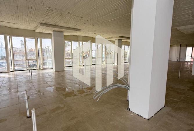 103767980 - Property Image 3