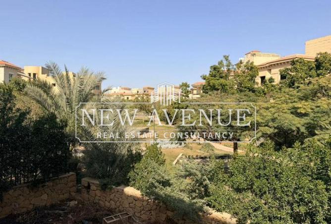 53734318 - Property Image 3