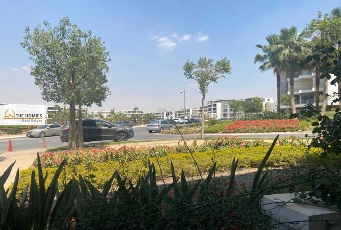 69055555 - Property Image 3