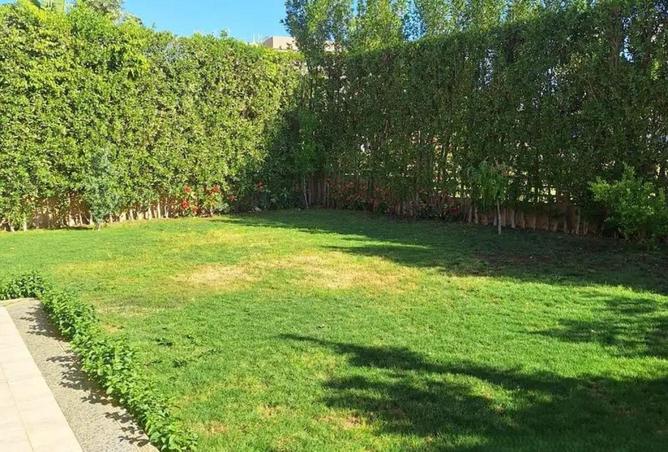 66433557 - صورة العقار 3