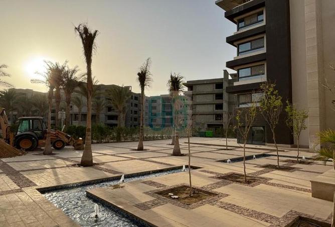 58736273 - صورة العقار 3