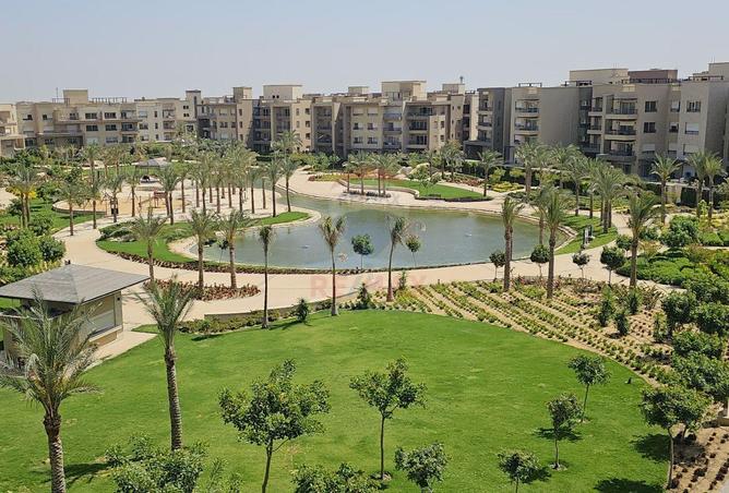 70097860 - صورة العقار 3