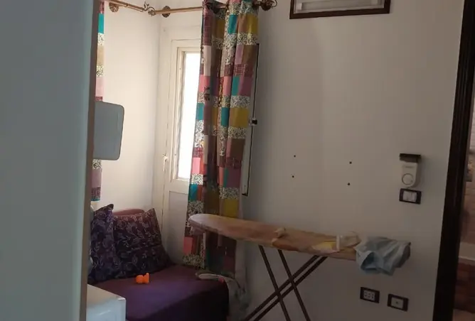 113826723 - Property Image 3