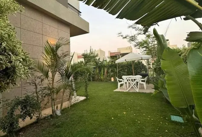 116491740 - Property Image 2