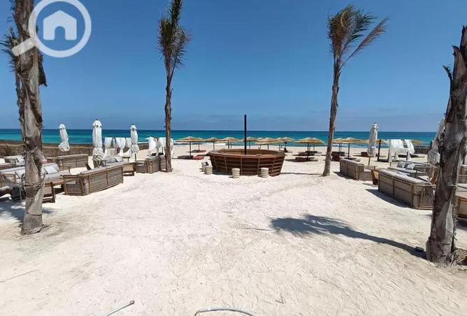 71914950 - Property Image 3