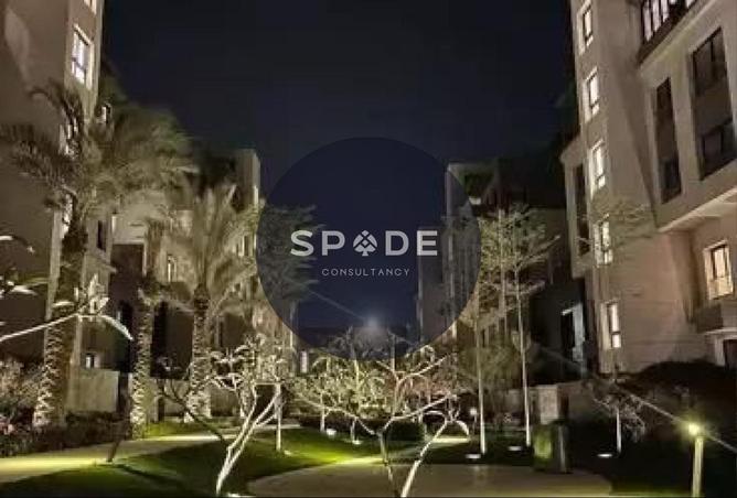 8635948 - Property Image 3