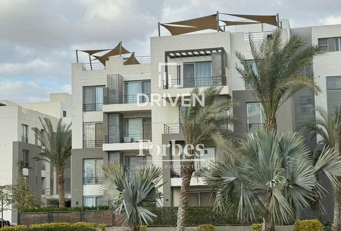 65153497 - صورة العقار 3