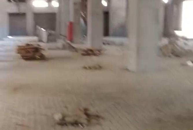 60959290 - Property Image 3