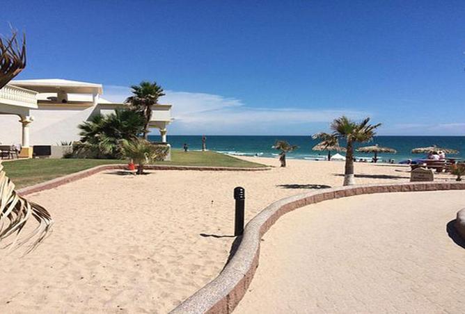 58994691 - صورة العقار 2