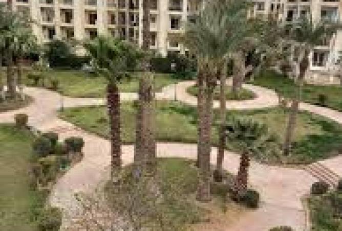 57251501 - صورة العقار 3