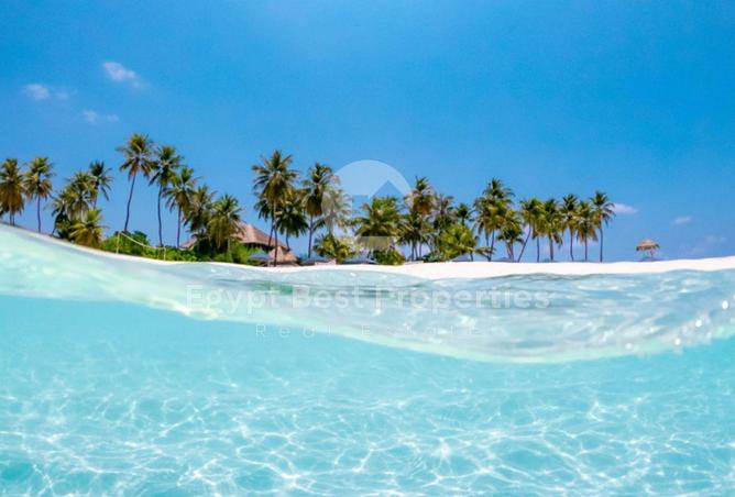 66704320 - صورة العقار 2