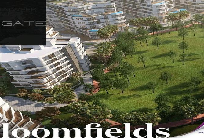 8652062 - صورة العقار 3