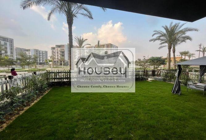 55246507 - Property Image 3