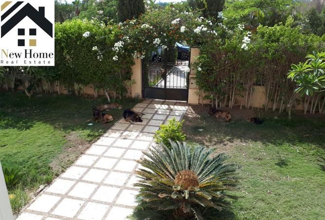 8588526 - صورة العقار 3