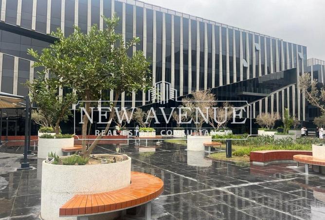 56501637 - Property Image 3