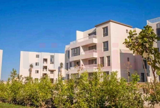 102630973 - Property Image 3