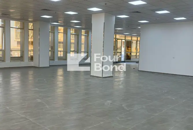 117269079 - Property Image 2