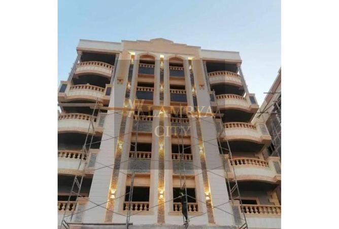 54492088 - Property Image 3