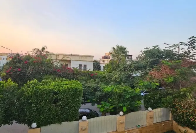 112693248 - Property Image 3