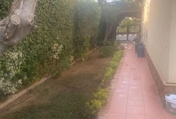 113254454 - Property Image 3