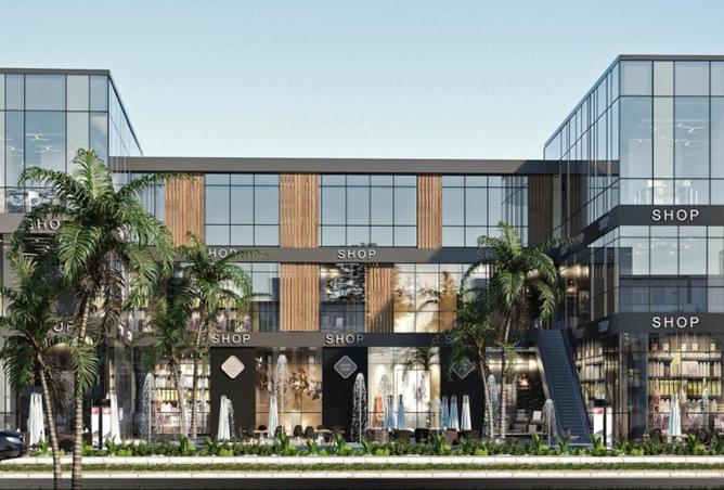 58000889 - صورة العقار 3