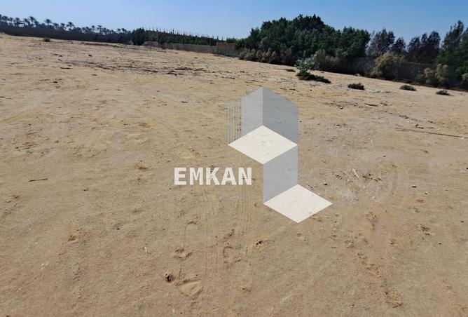 8554770 - Property Image 3