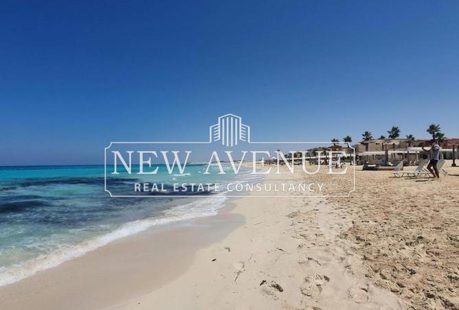 56252516 - صورة العقار 3