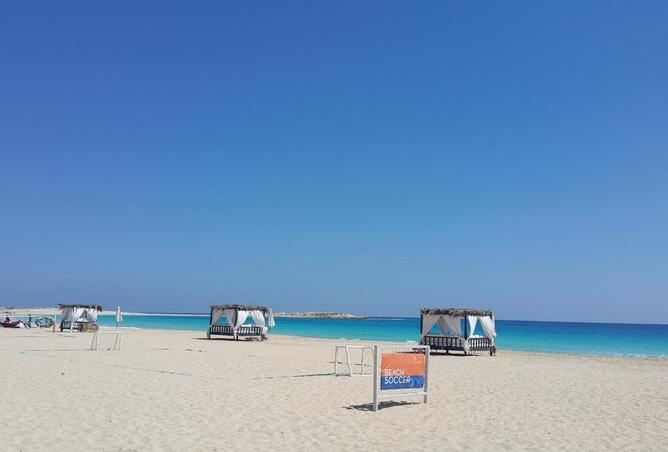 64130656 - صورة العقار 3