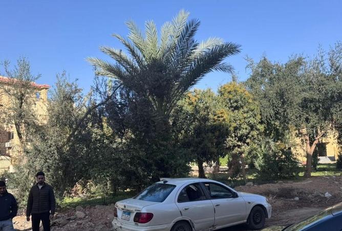 52712119 - صورة العقار 3