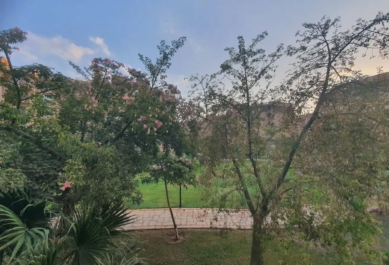 116236513 - الصورة الرئيسية للعقار