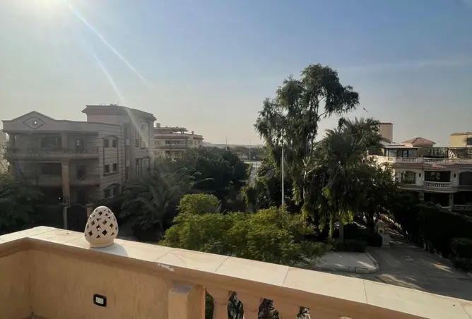 97713901 - صورة العقار 2
