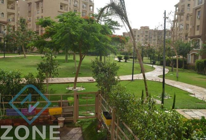 8562194 - Property Image 2