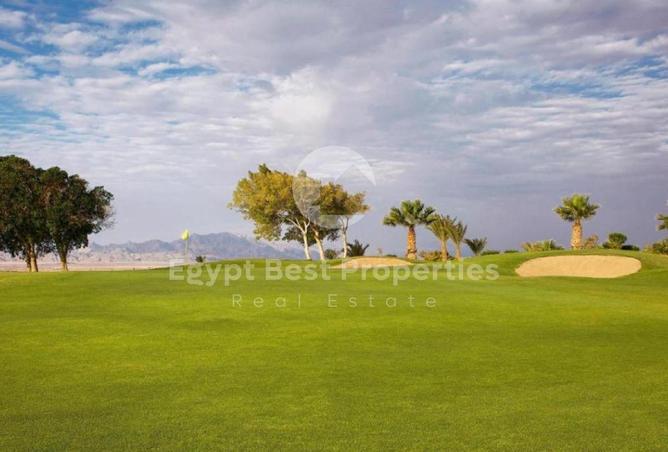 96867050 - Property Image 2