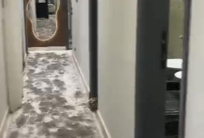 8307733 - صورة العقار 2