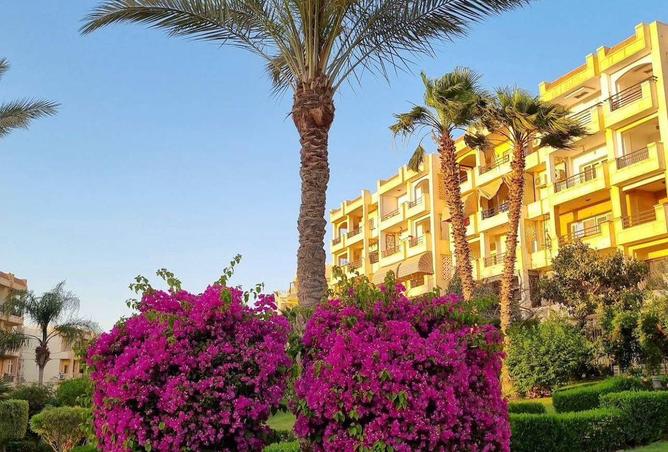 75959204 - صورة العقار 2